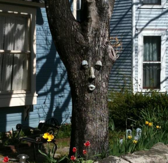 11 Singleton House Bed And Breakfast