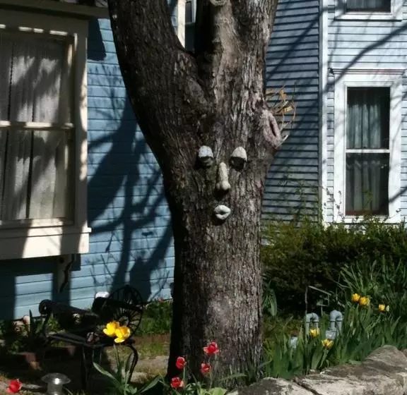 11 Singleton House  Bed And Breakfast