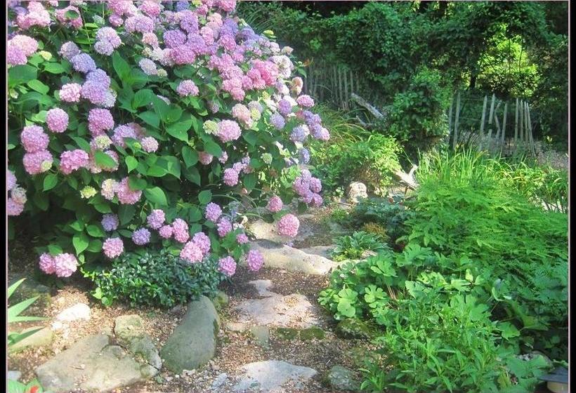 11 Singleton House Bed And Breakfast