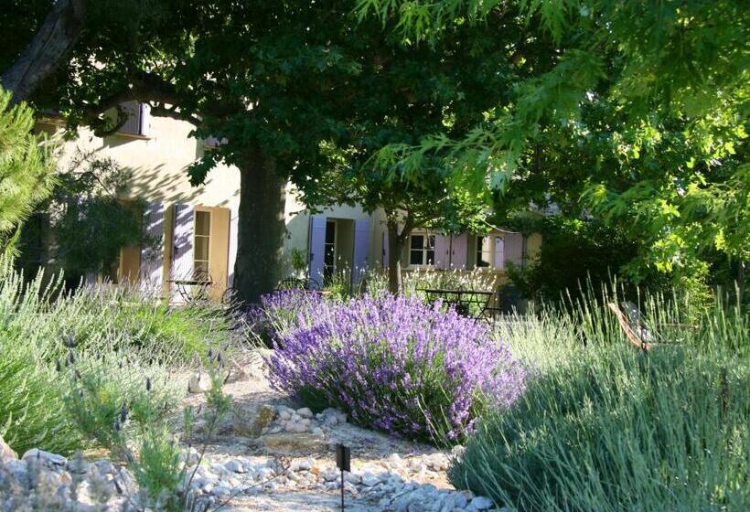 مبيت وإفطار Couleur Lavande