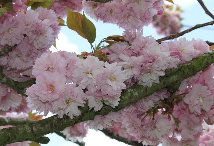 Bed and Breakfast L'heure Bleue Gîtes Et Chambres D'hôtes