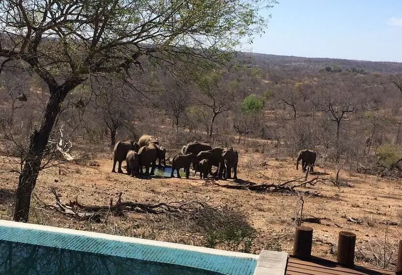 Hotelli Casart Game Lodge