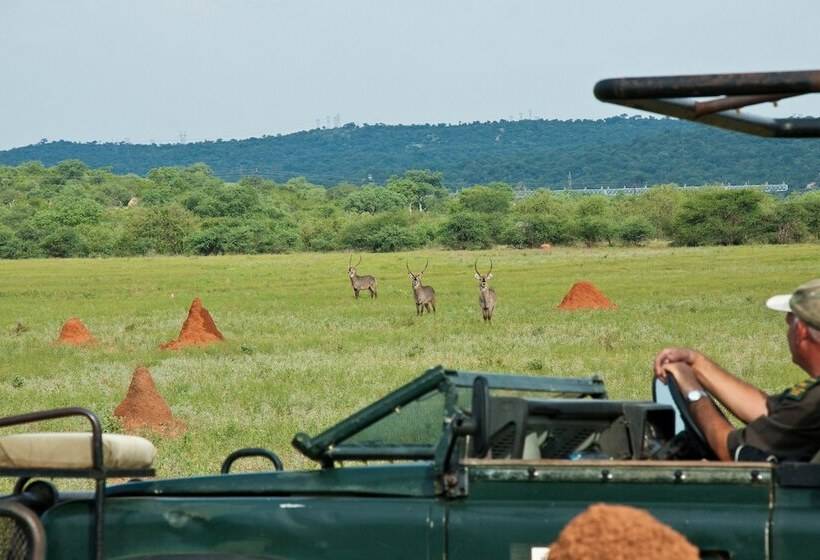 Hotel Casart Game Lodge