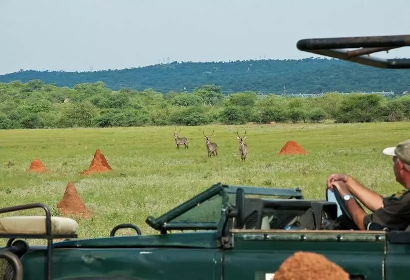 Hotelli Casart Game Lodge