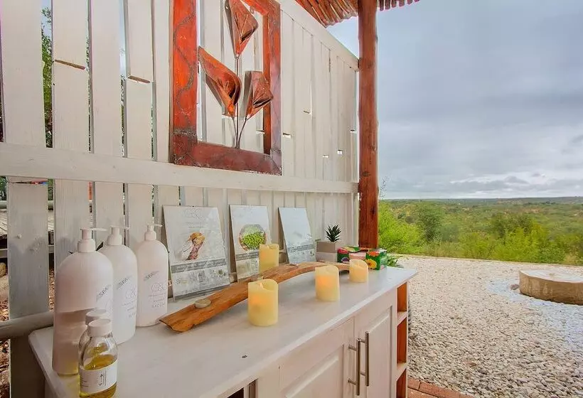 Hotelli Casart Game Lodge