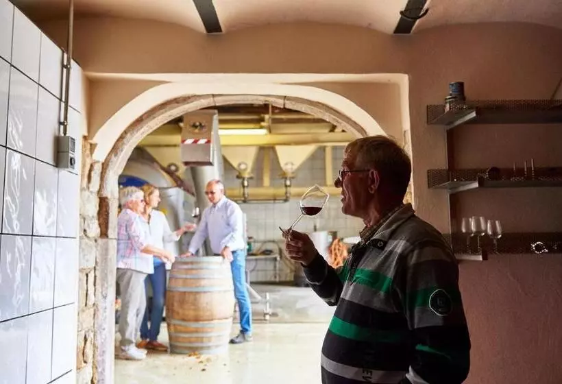 Dohlmühle Hotel & Weingut