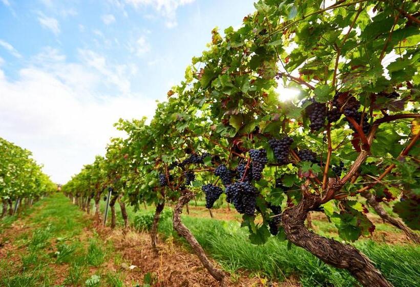 Dohlmühle Hotel & Weingut