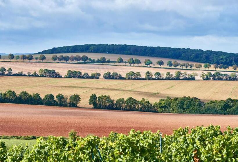 Dohlmühle Hotel & Weingut