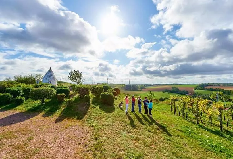 Dohlmühle Hotel & Weingut