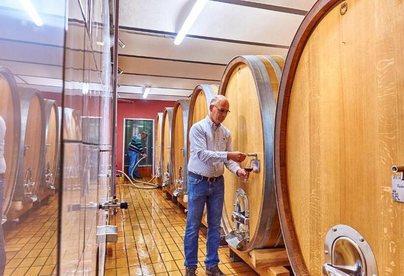 Dohlmühle Hotel & Weingut