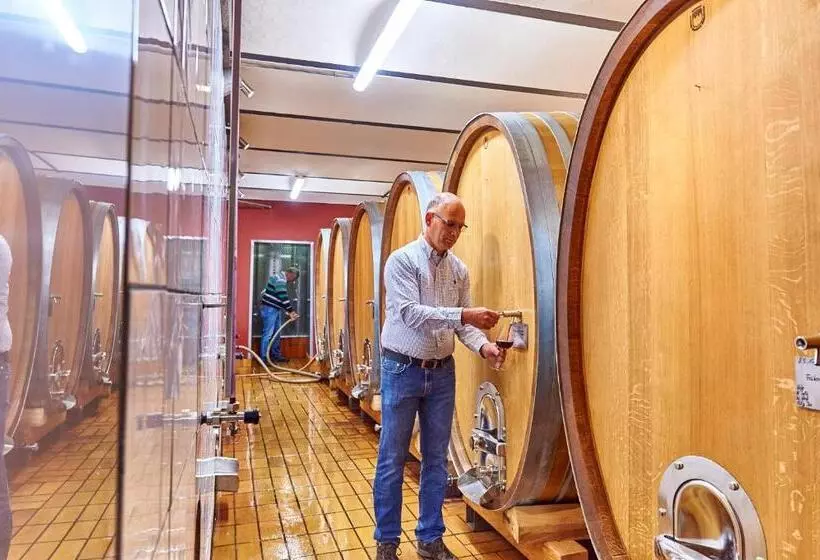 Dohlmühle Hotel & Weingut