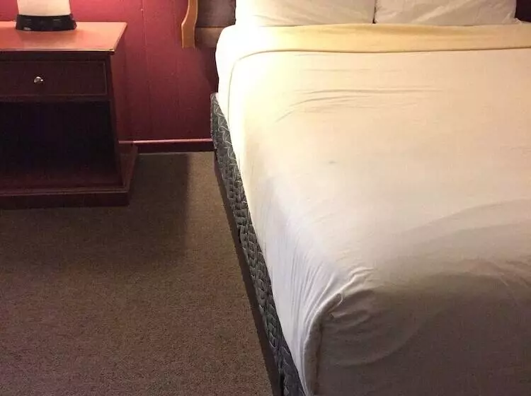 Hotelli Holiday Lodge