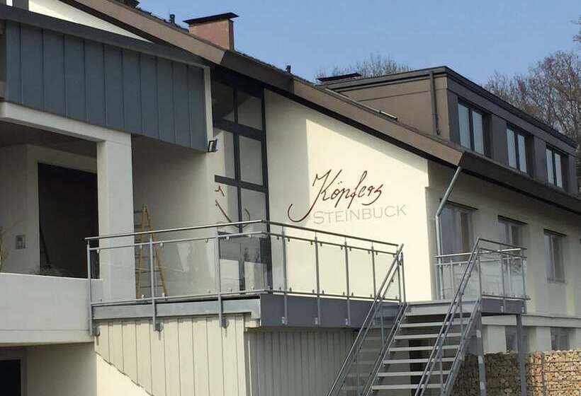 Hotel Kopfers Steinbuck