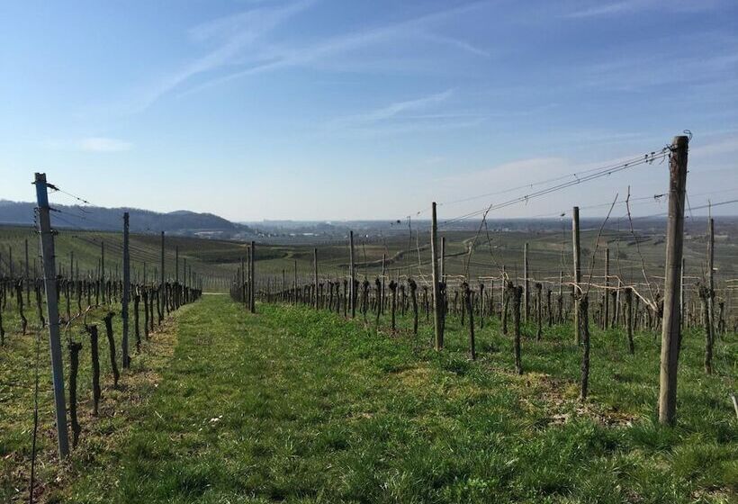 Hotel Kopfers Steinbuck