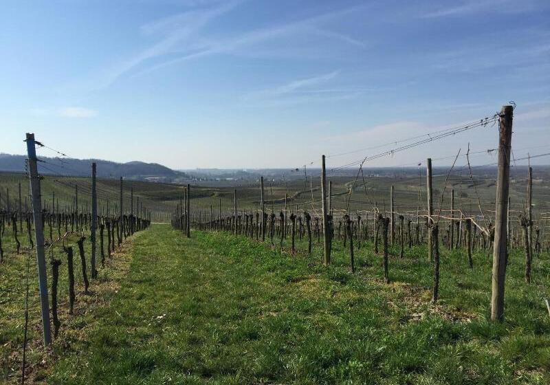 Hotel Kopfers Steinbuck