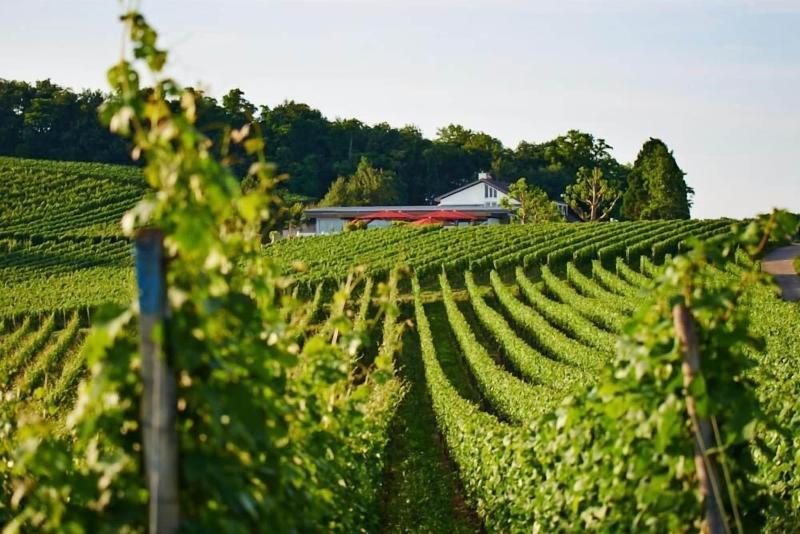 Hotel Kopfers Steinbuck