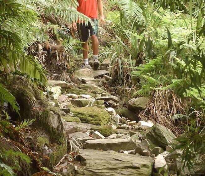 فندق The Fernery Lodge & Spa