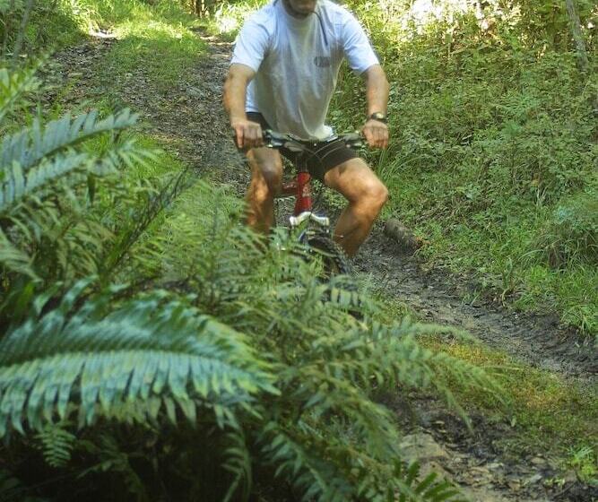 فندق The Fernery Lodge & Spa