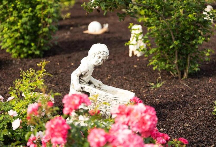 Bed and Breakfast Chambre D Hôte Les Ondines