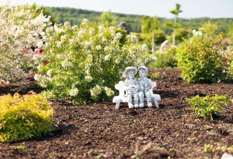 Bed and Breakfast Chambre D Hôte Les Ondines