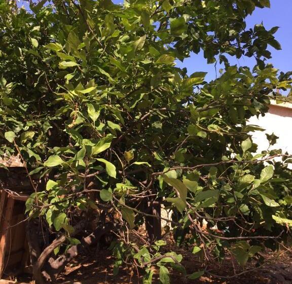 צימר Caseddu Di Chjarastella