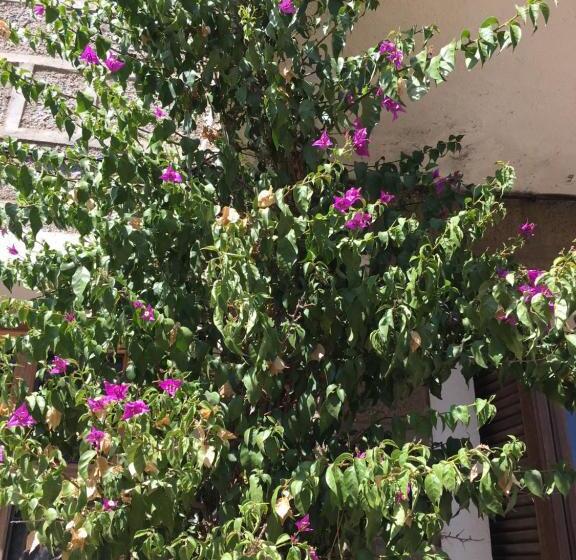 צימר Caseddu Di Chjarastella