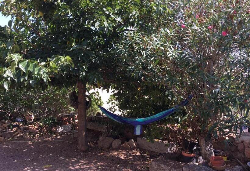 צימר Caseddu Di Chjarastella