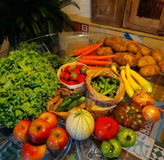 تختخواب و صبحانه Chambres Et Table D Hôtes Le Jardin De Tesse