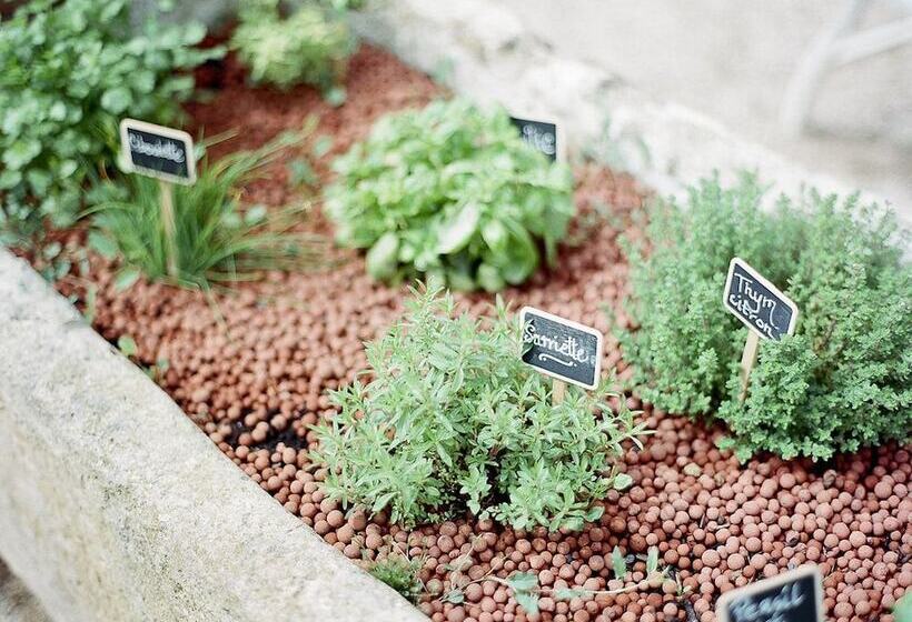 تختخواب و صبحانه Les Carmes And Spa