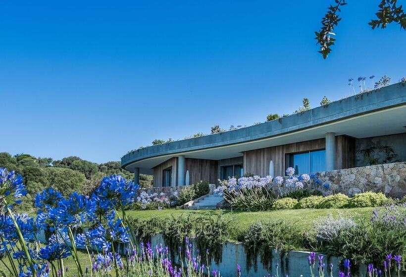 ベッドアンドブレックファースト Maison D Hôtes Cipiniello Villas