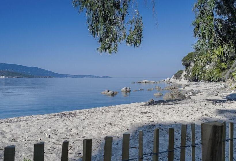 ベッドアンドブレックファースト Maison D Hôtes Cipiniello Villas