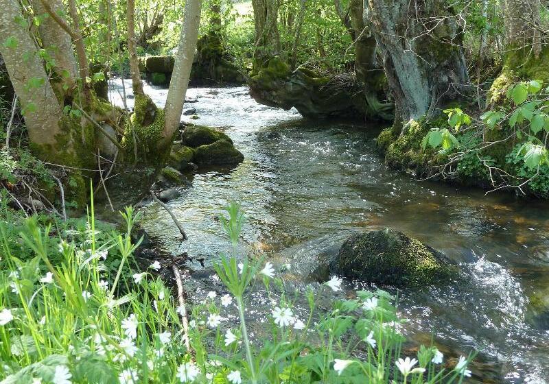 Bed and Breakfast Moulin Renaudiots Maison D Hôtes