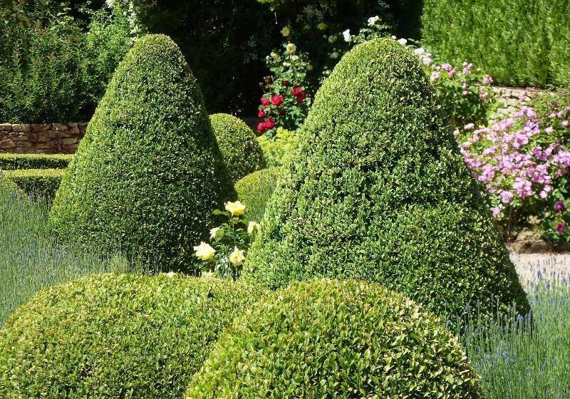 Bed and Breakfast Moulin Renaudiots Maison D Hôtes