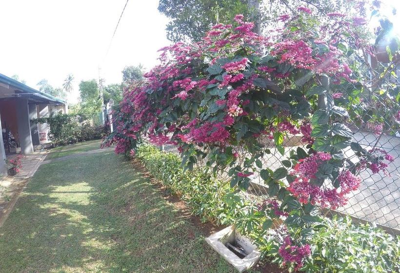 צימר The Victoria Nest Bungalow