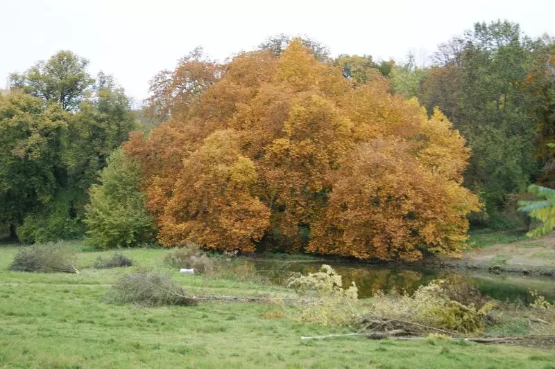 ホテル Chateau De La Bucherie