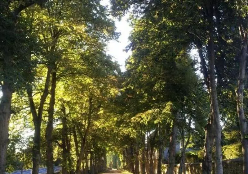ホテル Chateau De La Bucherie
