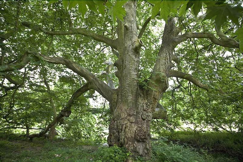 فندق Chateau De La Bucherie