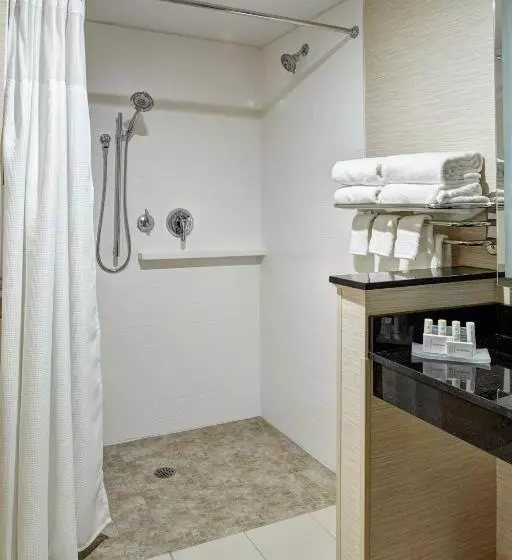 ホテル Fairfield Inn & Suites By Marriott Detroit Troy
