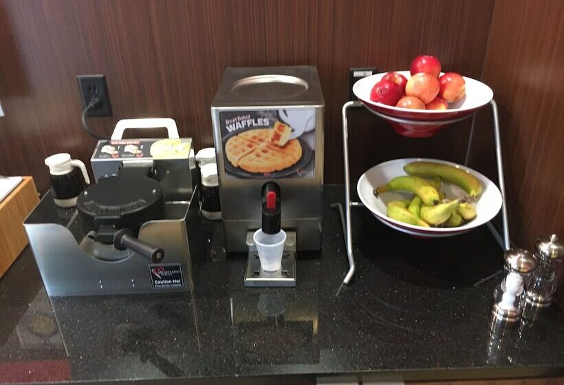 فندق Fairfield Inn & Suites By Marriott Detroit Troy