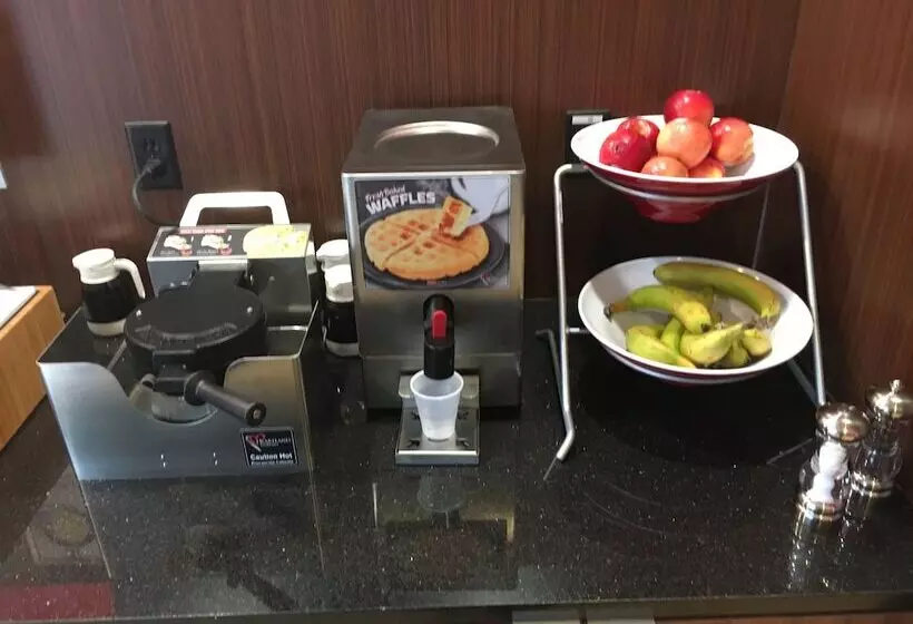 ホテル Fairfield Inn & Suites By Marriott Detroit Troy