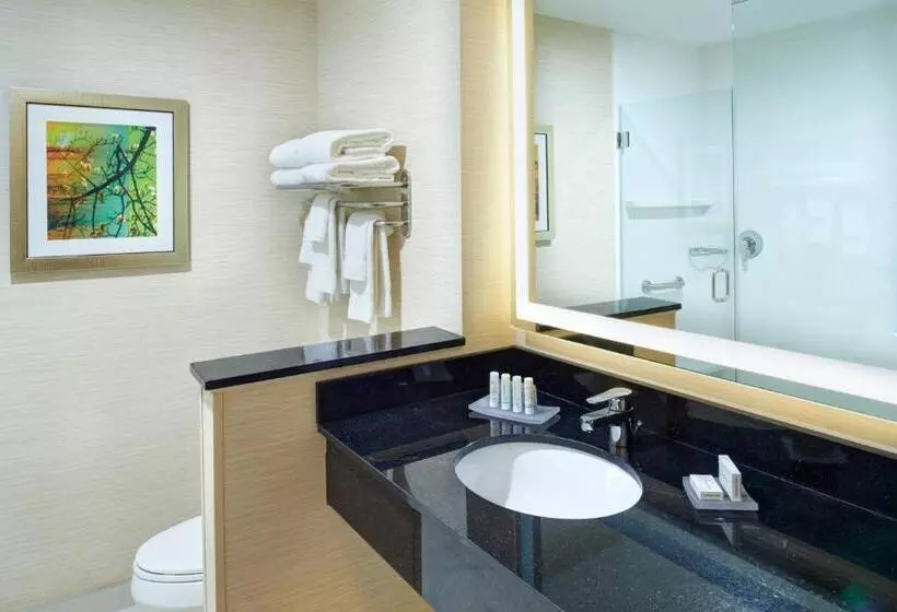 ホテル Fairfield Inn & Suites By Marriott Detroit Troy