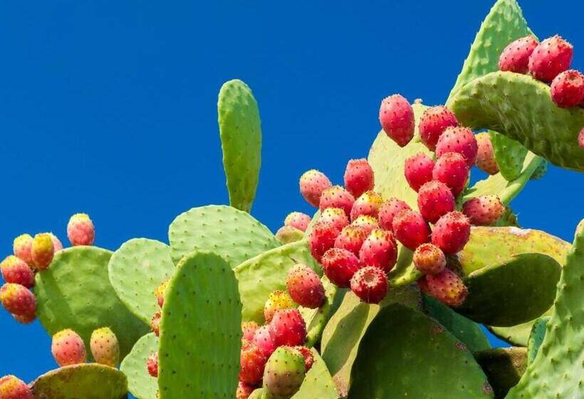 فندق Villa Costes