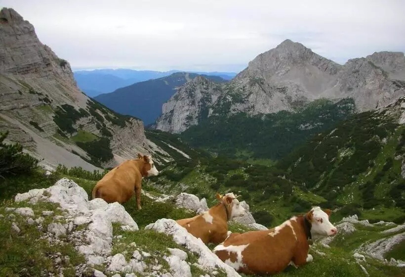 Alpotel Dolomiten