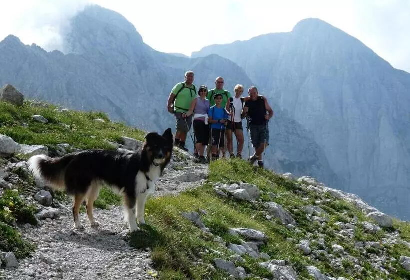 Alpotel Dolomiten