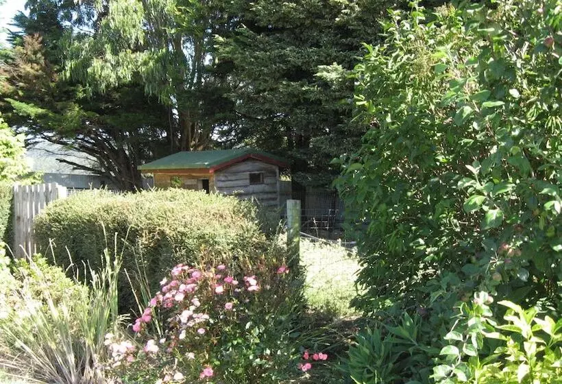Blueberry B & B