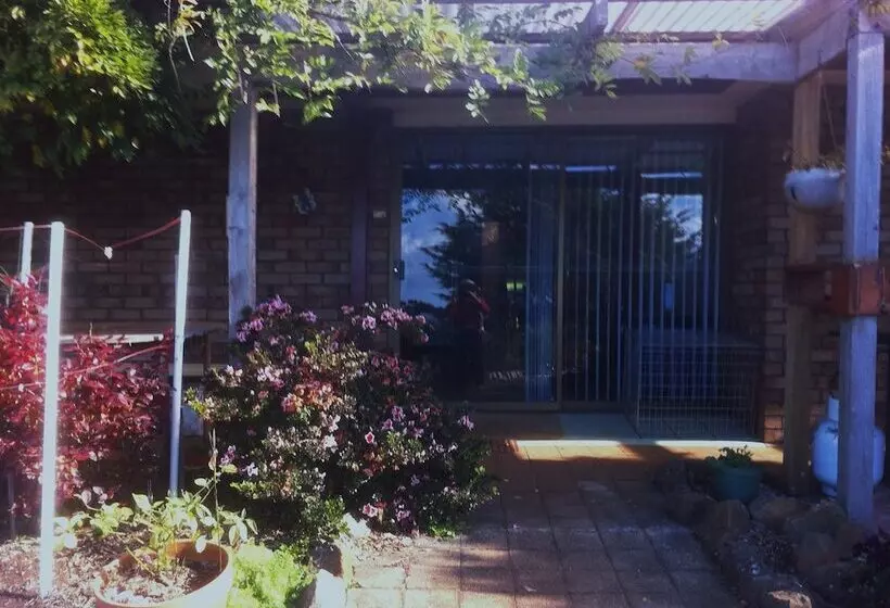 Blueberry B & B