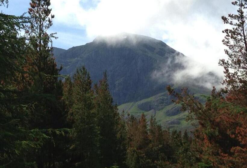 The Factor S Inn & Factor S Cottage