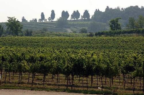 ホテル Agriturismo Nicobresaola