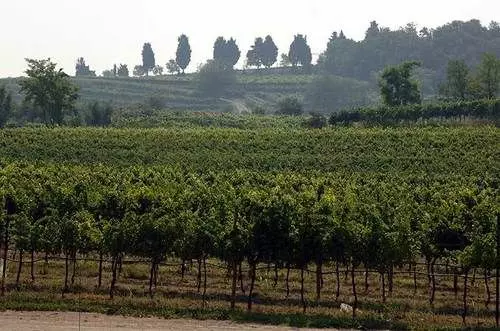 ホテル Agriturismo Nicobresaola