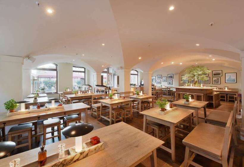 فندق Amedia Plaza Dresden, Trademark Collection By Wyndham